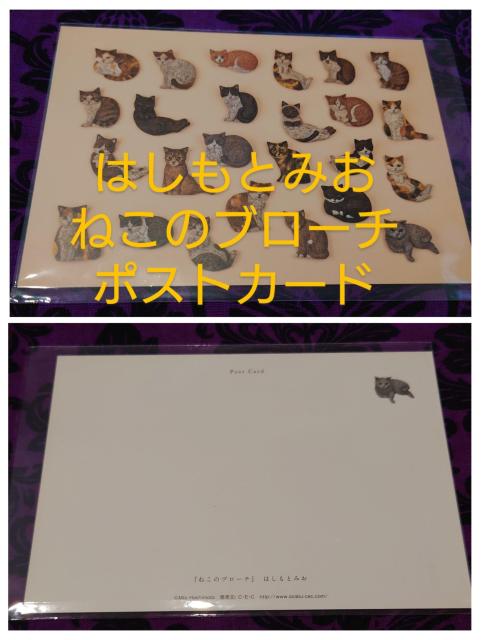 アートな猫グッズ詰め合わせ ポストカード ステッカー メモ帳 はしもとみお 石村嘉成 ベル・エポック メモ帳 < ホビー アートな猫グッズ詰め合わせ ポストカード ステッカー メモ帳 はしもとみお 石村嘉成 ベル・エポック メモ帳 < ホビーの