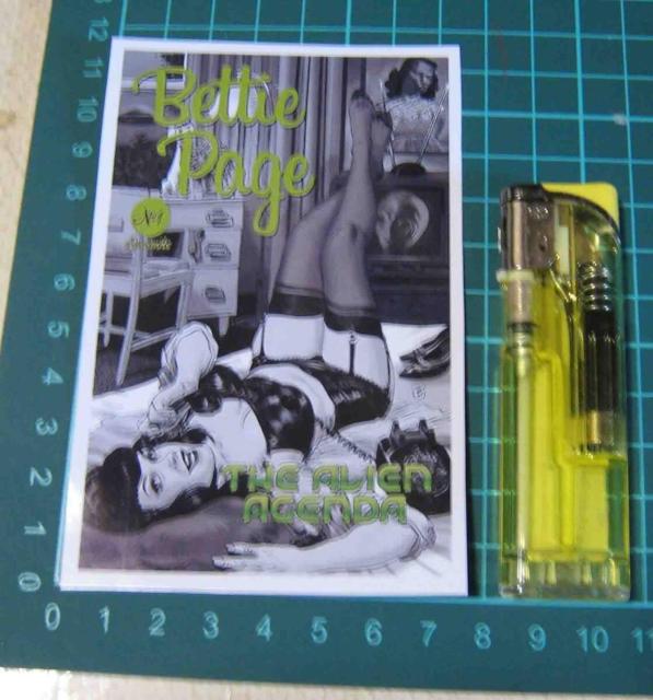 �x�e�B�y�C�W�@BETTIE PAGE�@���@�唻�X�e�b�J�[  �� �z�r�[�� 