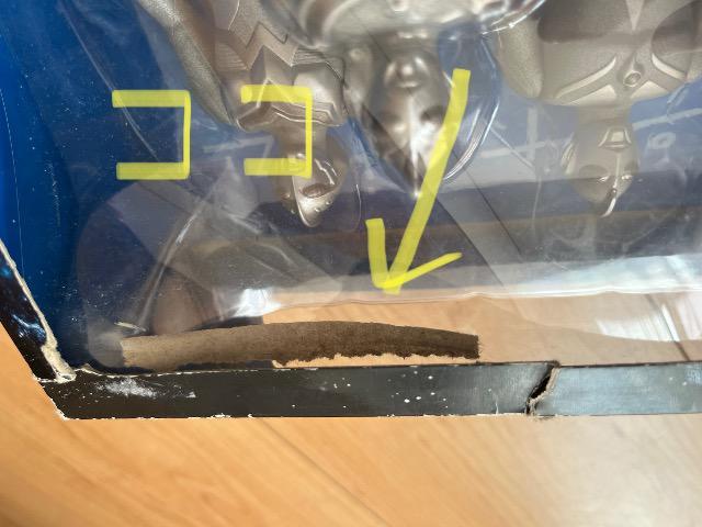 50NLO@Eg10Em̋OՁ@JłL  zr[ 