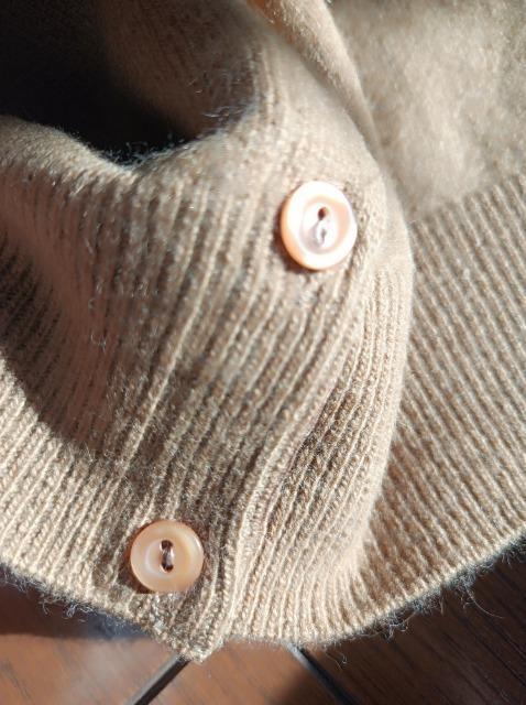 xlg^[gJ[fBK2_Zbgǔi  t@bV 