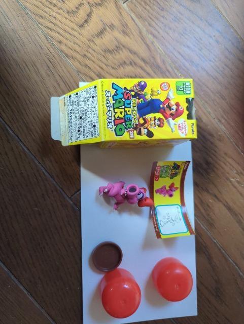 スーパーマリオ2弾キャサリン < ホビー  スーパーマリオ2弾キャサリン  < ホビーの