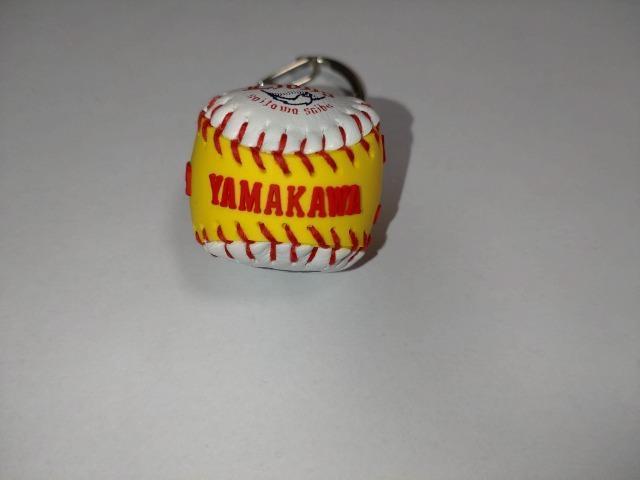 ʐCIY 3 R䍂I V[Nbg~j{[L[z_[ wԍ 33 ʃob` K`̔  W[/X|[c 