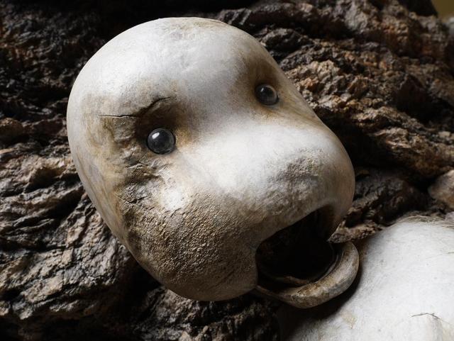 149_�`�����(��) �� �z�r�[�� 