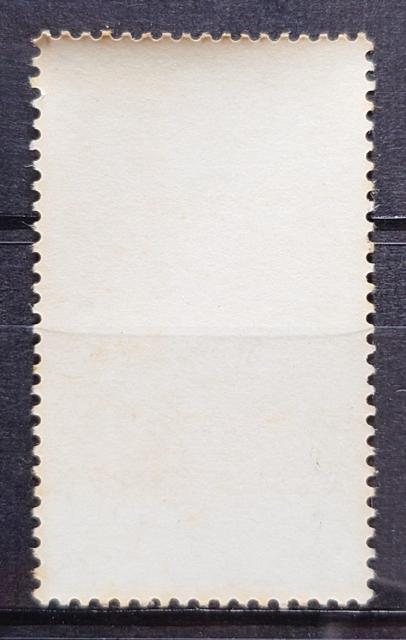 {X {̐؎ gp؎ 1964N`1965N a39N`a40N ՂV[Y _܂ z10~  zr[ 