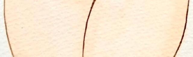 CXg/2/։H/炩̍؂/p`