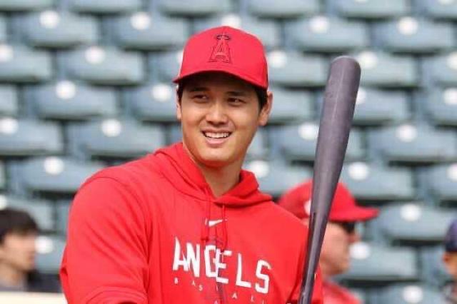 【送料無料】野球 大谷翔平厳選写真フォトL判10枚セット L < タレントグッズ  【送料無料】野球 大谷翔平厳選写真フォトL判10枚セット L < タレントグッズの