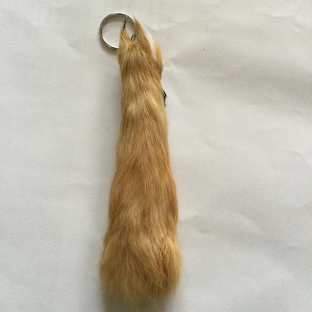 男女兼用キーホルダー A  B188 < 女性ファッション  男女兼用キーホルダー A  B188 < 女性ファッションの