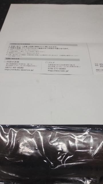 ◆四国水族館/アトア/株主様優待ご招待券/ < チケット/金券 ◆四国水族館/アトア/株主様優待ご招待券/ < チケット/金券の