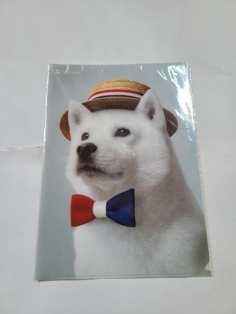 ☆未開封 お父さん犬 クリアファイル ver.4 ソフトバンク < 家電/AV  ☆未開封 お父さん犬 クリアファイル ver.4 ソフトバンク  < 家電/AVの