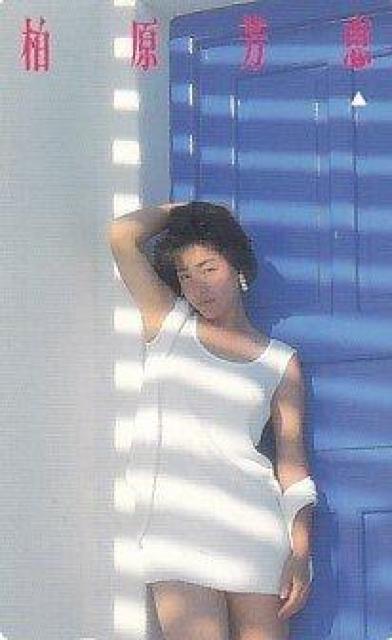 ky�@�������F�b�@�����h�A���e���J�V�i���g�p�� �� �^�����g�O�b�Y�� 