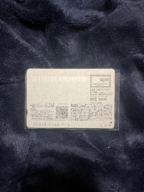 T؍46䂠ߎʐ^&QUOJ[h