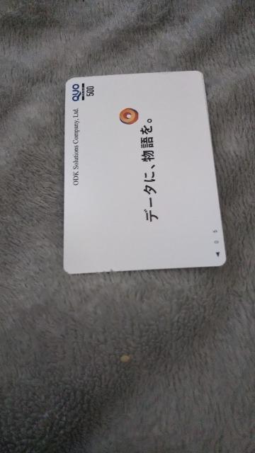 �N�I�J�[�h500�~  �� �`�P�b�g/������ 