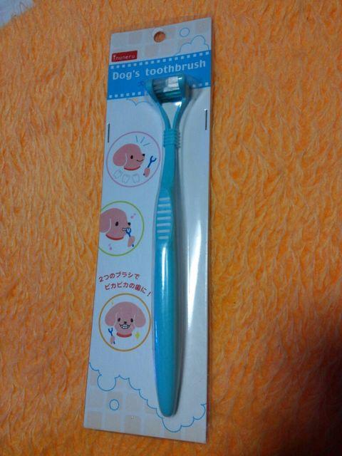 Vi     pnuV   ybg/|/| 