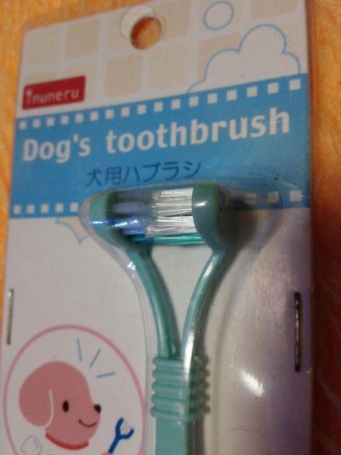 Vi     pnuV  ybg/|/| 