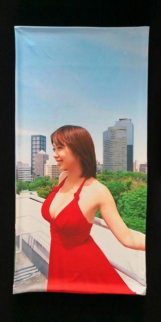 ☆井上和香 ☆抱き枕カバー 新品未開封 < タレントグッズ  ☆井上和香 ☆抱き枕カバー 新品未開封  < タレントグッズの