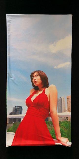 ☆井上和香 ☆抱き枕カバー 新品未開封 < タレントグッズ  ☆井上和香 ☆抱き枕カバー 新品未開封 < タレントグッズの