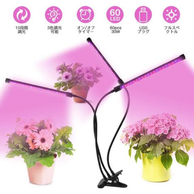 ApLEDCg ͔|v   ybg/|/| 