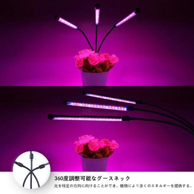 ApLEDCg ͔|v  ybg/|/| 