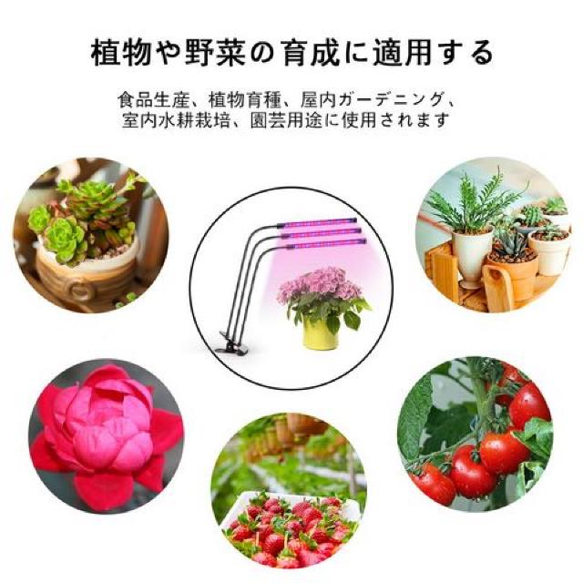 ApLEDCg ͔|v  ybg/|/| 