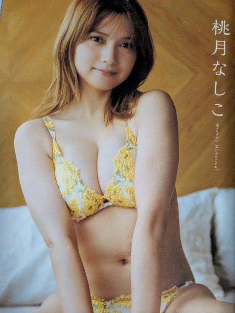 桃月なしこ表紙漫画アクション < 本/雑誌 桃月なしこ表紙漫画アクション < 本/雑誌の