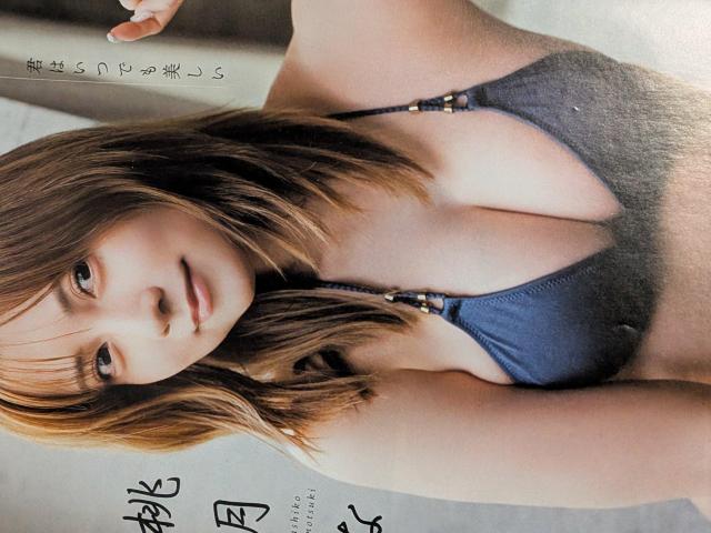 桃月なしこ表紙漫画アクション < 本/雑誌 桃月なしこ表紙漫画アクション < 本/雑誌の