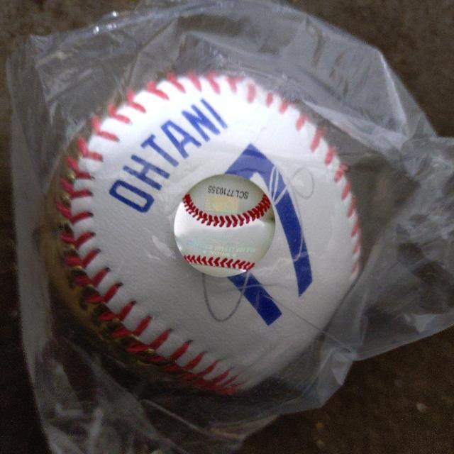 �y��J�ĕ��h�W���[�X*50�F50�B���L�O�E�S�[���h�{�[���z �� ���W���[/�X�|�[�c�� 