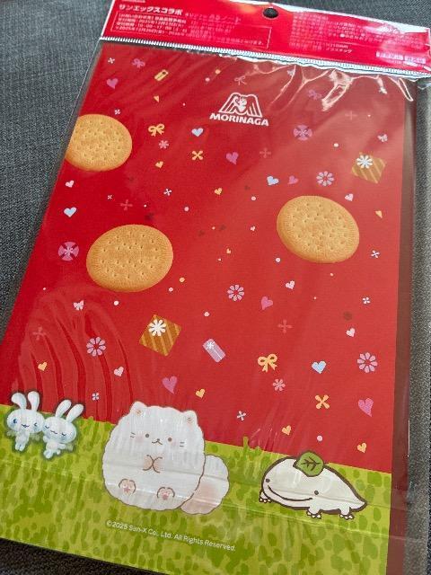 ��V�i��T���G�b�N�X�R���{ A5�m�[�g   ���������� �}���[�r�X�P�b�g  ����ς� ������ �� �z�r�[�� 