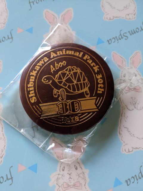 亀さん 丸型ミラー 渋川動物園限定 ゾウガメのアブー < 女性ファッション  亀さん 丸型ミラー 渋川動物園限定 ゾウガメのアブー  < 女性ファッションの