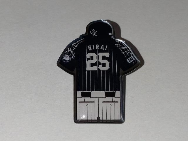 ʐCIY2024 CIYtFXeBoY ngu[^sob` 25 䍎T   W[/X|[c 