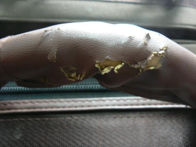 AgTbNXpP[XE󂠂  zr[ 