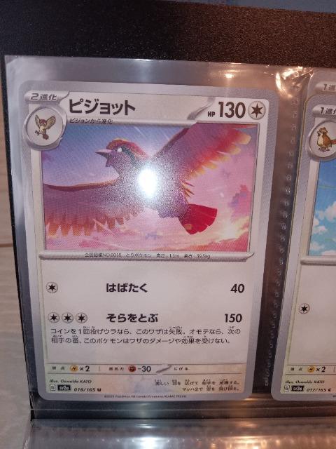 ピジョット < トレーディングカード ピジョット < トレーディングカードの