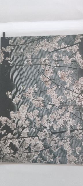 �|�X�g�J�[�h �� �@(�V�i)  �� �C���e���A/���C�t�� 