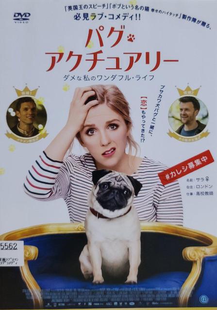 中古DVD パグ・アクチュアリー  ダメな私のワンダフル・ライフ < CD/DVD/ビデオ  中古DVD パグ・アクチュアリー  ダメな私のワンダフル・ライフ  < CD/DVD/ビデオの