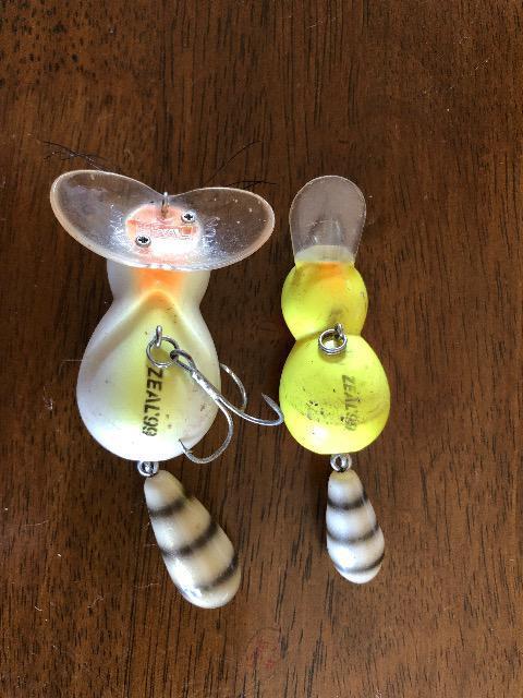 ズイール アライ君 < レジャー/スポーツ ズイール アライ君 < レジャー/スポーツの