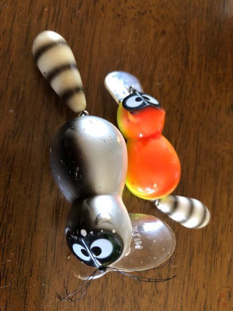 ズイール アライ君 < レジャー/スポーツ ズイール アライ君 < レジャー/スポーツの