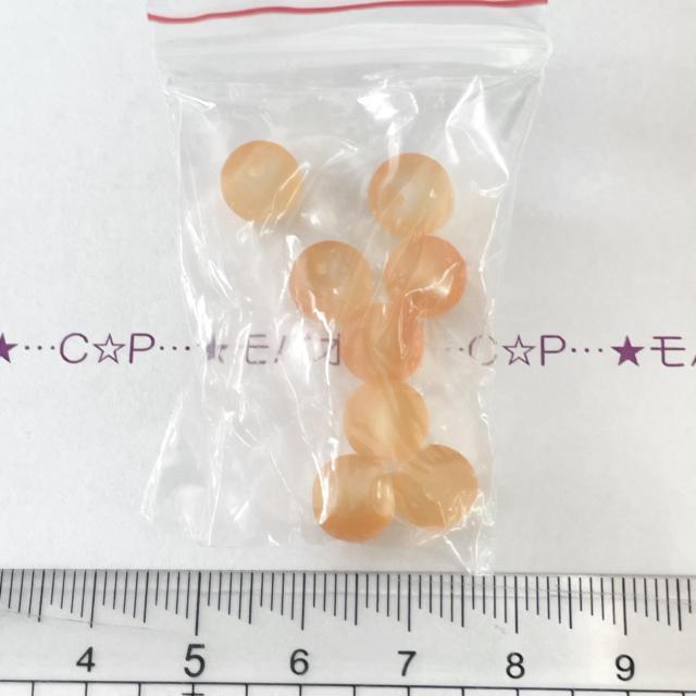 13*�ĐF�t���X�g�K���X�r�[�Y�@24 