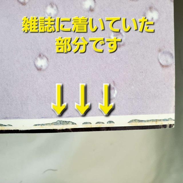 ���݁��������A�I40�N�ȏ�O�����J���a�q����~�j�|�X�^�[�� �� �^�����g�O�b�Y�� 