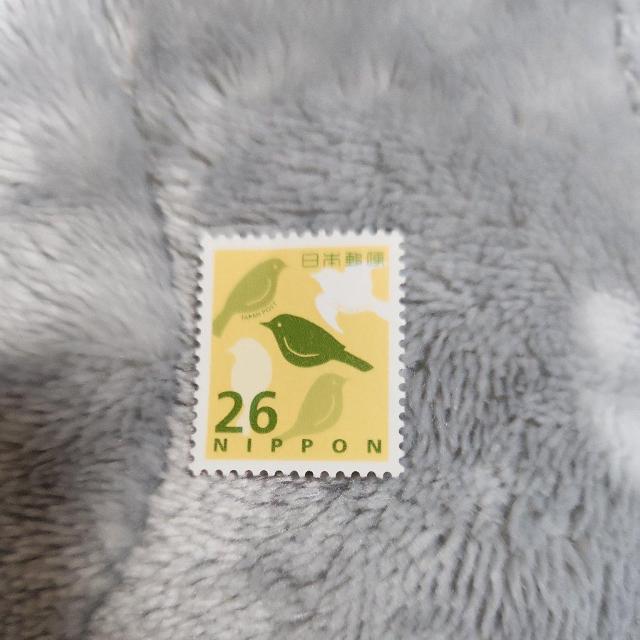 �؎�@26�~��  �� �z�r�[�� 