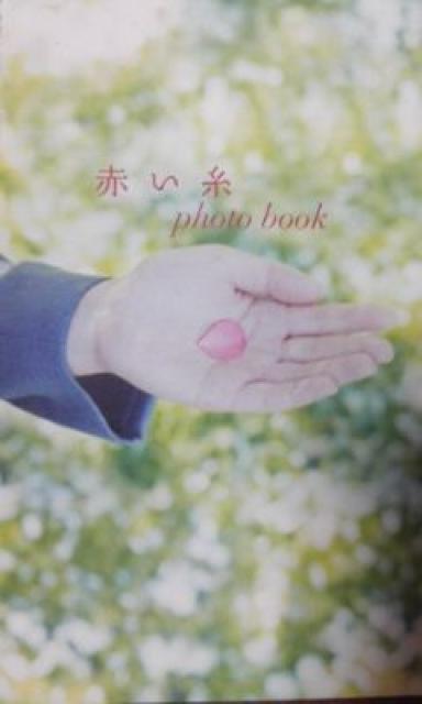 赤い糸 南沢奈央、溝端淳平 < CD/DVD/ビデオ  赤い糸 南沢奈央、溝端淳平 < CD/DVD/ビデオの