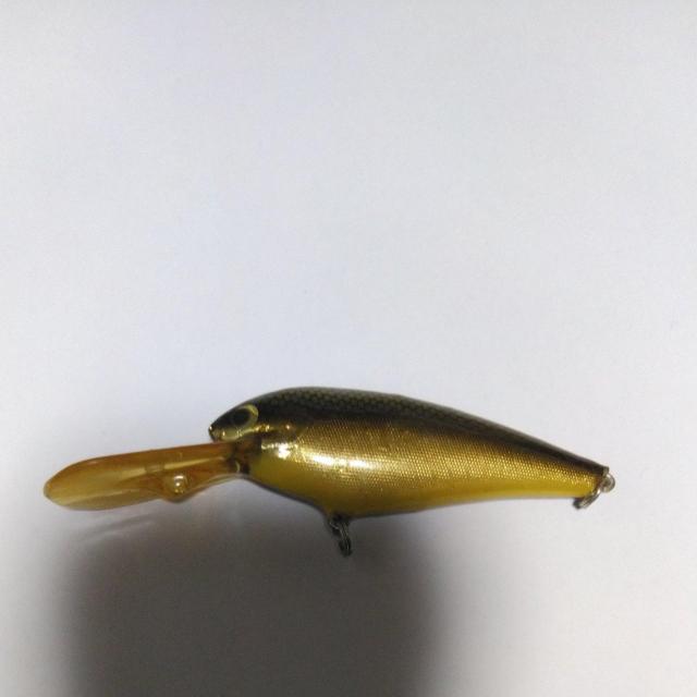 ゼブラシャッド < レジャー/スポーツ  ゼブラシャッド  < レジャー/スポーツの