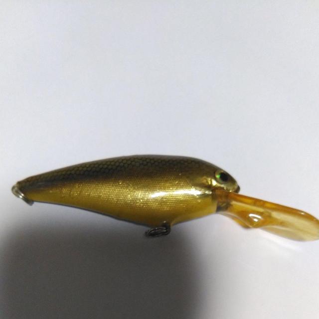 ゼブラシャッド < レジャー/スポーツ  ゼブラシャッド < レジャー/スポーツの