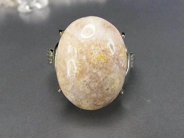 eԐ΃R[ΎwփOAAAVRΑ嗱_17U0622RYa   ANZT[/v 