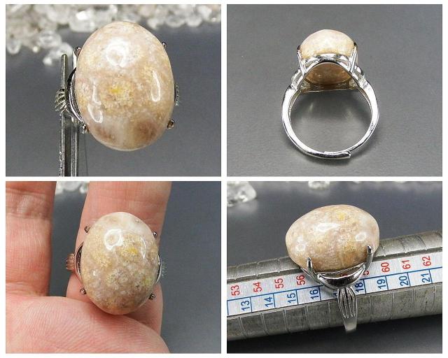 eԐ΃R[ΎwփOAAAVRΑ嗱_17U0622RYa  ANZT[/v 