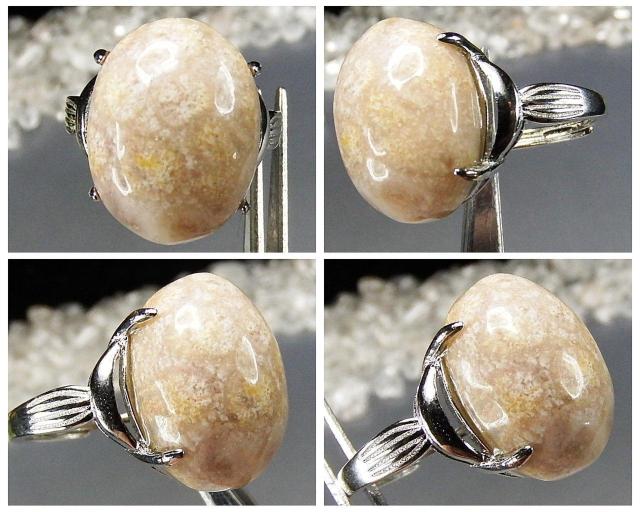 eԐ΃R[ΎwփOAAAVRΑ嗱_17U0622RYa  ANZT[/v 