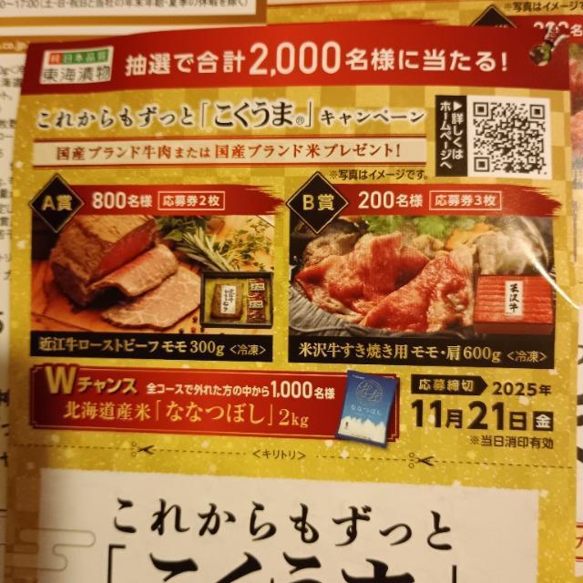 ꂩƁu܁vLy[@匔 1   `Pbg/ 