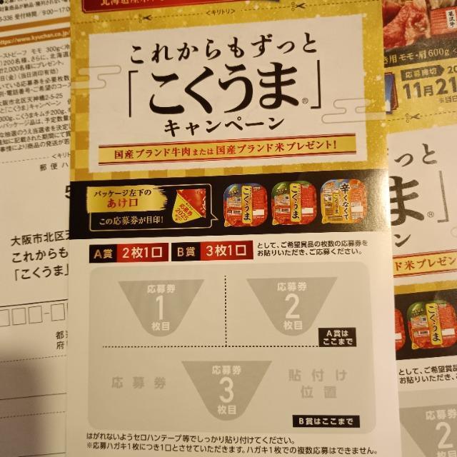 ꂩƁu܁vLy[@匔 1  `Pbg/ 