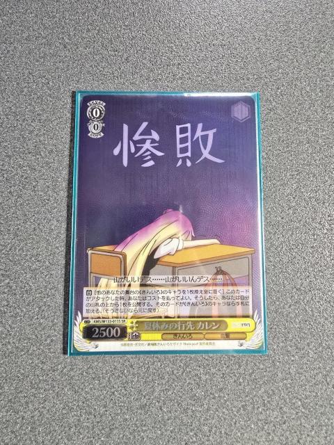 ���@�C�X�V�����@���c �ċx�݂̍s�� �J���� SR  �� �g���[�f�B���O�J�[�h�� 