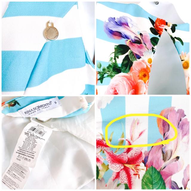 RINASCIMENTOF{[_[t[ԕtAhXs[X  t@bV 