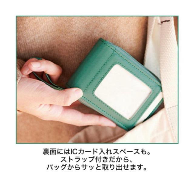 SPRiNGGt^lR̂ɁXgbvtc^΂J[hP[X