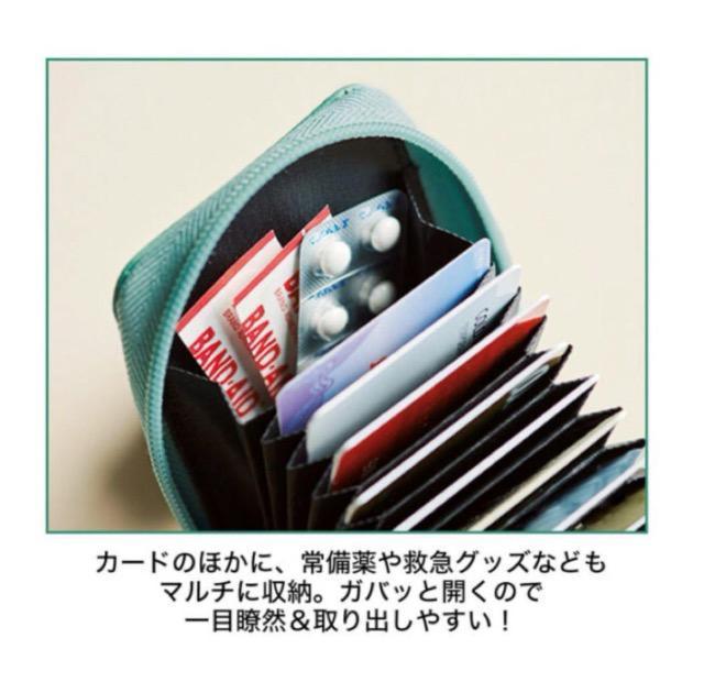 SPRiNGGt^lR̂ɁXgbvtc^΂J[hP[X